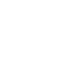 O número 22, símbolo da MM22